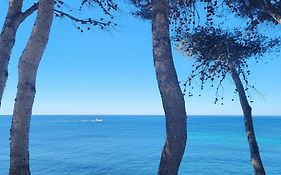 A 50M Du Port De Carry-Cote Bleue